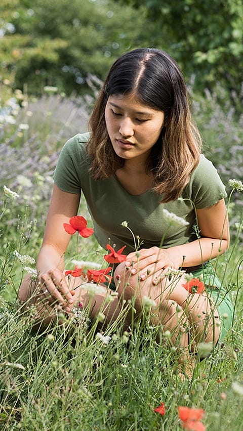girl in the field