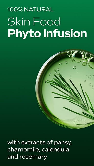 skin food lipstick phyto infusion