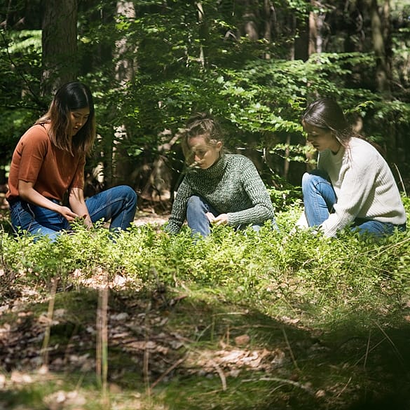 girls sitting in the woods